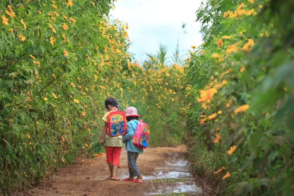 wholesale school backpacks